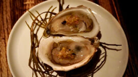 Oysters from Broken Arrow in Portland, ME